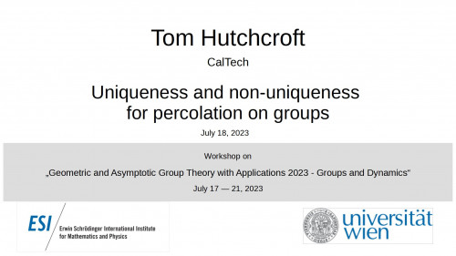 Preview of Tom Hutchcroft - Uniqueness and non-uniqueness for percolation on groups
