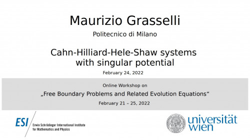 Preview of Maurizio Grasselli - Cahn-Hilliard-Hele-Shaw systems with singular potential