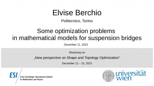 Preview of Elvise Berchio - Some optimization problems in mathematical models for suspension bridges