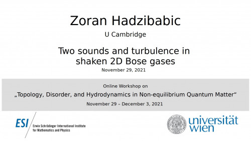 Preview of Zoran Hadzibabic - Two sounds and turbulence in shaken 2D Bose gases