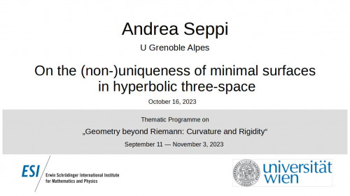 Preview of Andrea Seppi - On the (non-)uniqueness of minimal surfaces in hyperbolic three-space