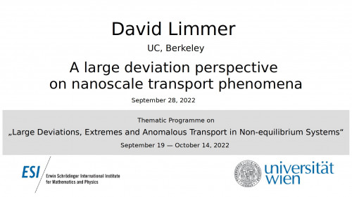 Preview of David Limmer - A large deviation perspective on nanoscale transport phenomena