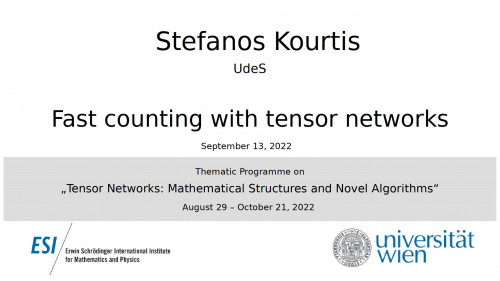 Preview of Stefanos Kourtis - Fast counting with tensor networks