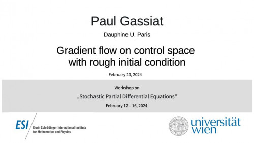 Preview of Paul Gassiat - Gradient flow on control space with rough initial condition