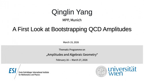 Preview of Qinglin Yang - A First Look at Bootstrapping QCD Amplitudes