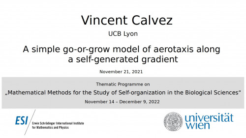 Preview of Vincent Calvez - A simple go-or-grow model of aerotaxis along a self-generated gradient