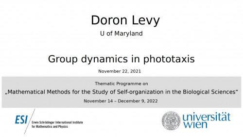 Preview of Doron Levy - Group dynamics in phototaxis