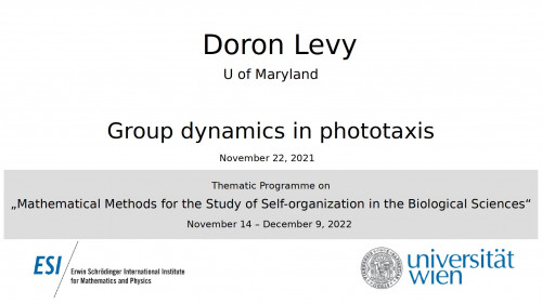 Preview of Doron Levy - Group dynamics in phototaxis