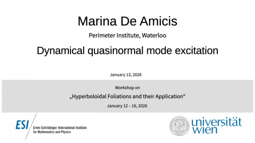 Preview of Marina De Amicis - Dynamical quasinormal mode excitation