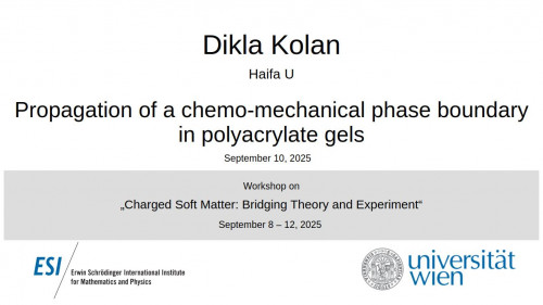Preview of Dikla Kolan - Propagation of a chemo-mechanical phase boundary in polyacrylate gels