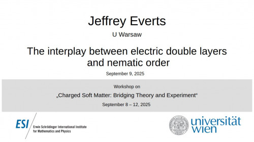 Preview of Jeffrey Everts - The interplay between electric double layers and nematic order