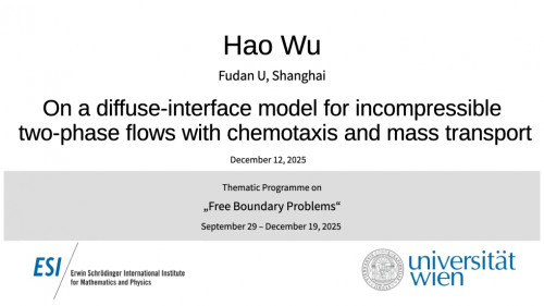 Preview of Hao Wu - On a diffuse-interface model for incompressible two-phase flows with chemotaxis and mass transport