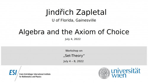 Preview of Jindřich Zapletal - Algebra and the Axiom of Choice