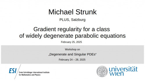 Preview of Michael Strunk - Gradient regularity for a class of widely degenerate parabolic equations