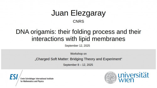 Preview of Juan Elezgaray - DNA origamis: their folding process and their interactions with lipid membranes