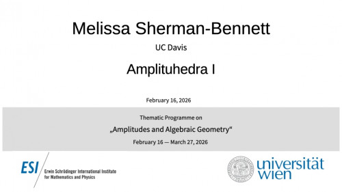 Preview of Melissa Sherman-Bennett - Amplituhedra I