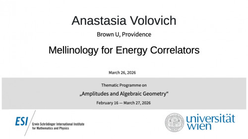 Preview of Anastasia Volovich - Mellinology for Energy Correlators