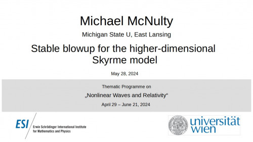Preview of Michael McNulty - Stable blowup for the higher-dimensional Skyrme model