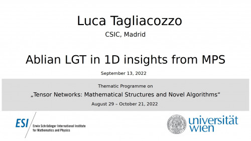 Preview of Luca Tagliacozzo - Ablian LGT in 1D insights from MPS
