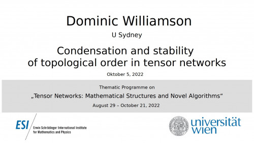 Preview of Dominic Williamson - Condensation and stability of topological order in tensor networks