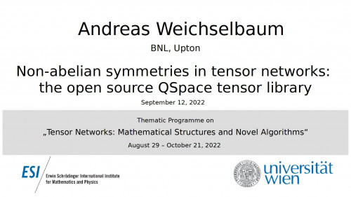 Preview of Andreas Weichselbaum - Non-abelian symmetries in tensor networks: the open source QSpace tensor library