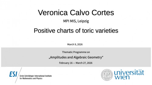 Preview of Veronica Calvo Cortes - Positive charts of toric varieties