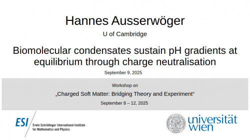 Preview of Hannes Ausserwöger - Biomolecular condensates sustain pH gradients at equilibrium through charge neutralisation