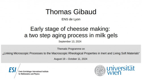Preview of Thomas Gibaud - Early stage of cheesse making: a two step aging process in milk gels
