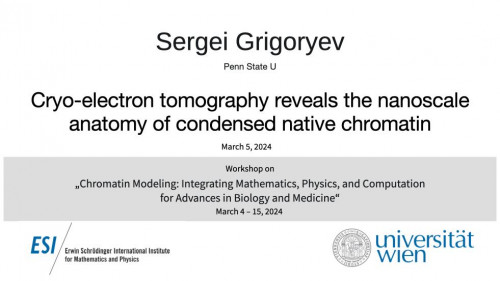 Preview of Sergei Grigoryev - Cryo-electron tomography reveals the nanoscale anatomy of condensed native chromatin