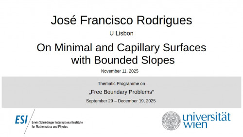 Preview of José Francisco Rodrigues - On Minimal and Capillary Surfaces with Bounded Slopes
