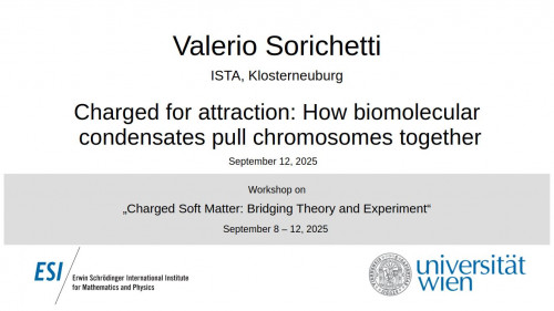 Preview of Valerio Sorichetti - Charged for attraction: How biomolecular condensates pull chromosomes together