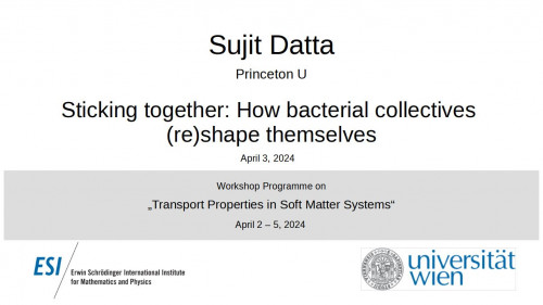 Preview of Sujit Datta - Sticking together: How bacterial collectives (re)shape themselves
