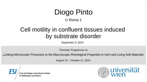 Preview of Diogo Pinto - Cell motility in confluent tissues induced by substrate disorder