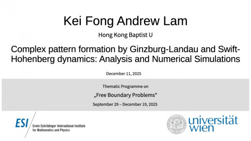 Preview of Kei Fong Andrew Lam - Complex pattern formation by Ginzburg-Landau and Swift-Hohenberg dynamics: Analysis and Numerical Simulations