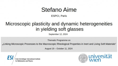 Preview of Stefano Aime - Microscopic plasticity and dynamic heterogeneities in yielding soft glasses