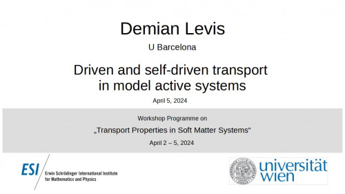 Preview of Demian Levis - Driven and self-driven transport in model active systems
