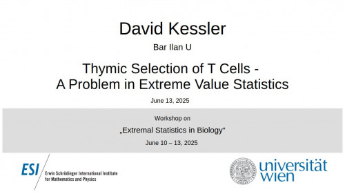 Preview of David Kessler - Thymic Selection of T Cells - A Problem in Extreme Value Statistics