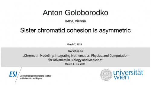 Preview of Anton Goloborodko - Sister chromatid cohesion is asymmetric