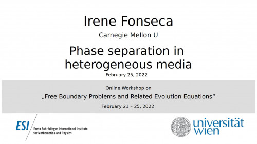 Preview of Irene Fonseca - Phase separation in heterogeneous media