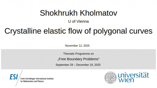 Preview of Shokhrukh Kholmatov - Crystalline elastic flow of polygonal curves