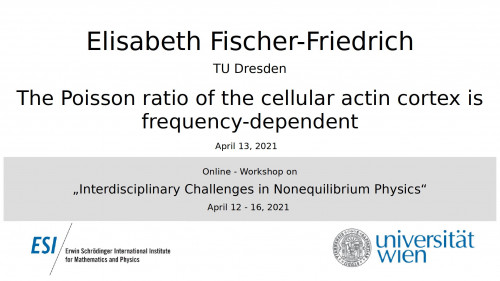 Preview of The Poisson ratio of the cellular actin cortex is frequency-dependent