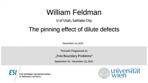 Preview of William Feldman - The pinning effect of dilute defects