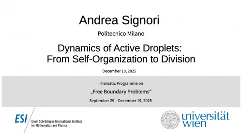 Preview of Andrea Signori - Dynamics of Active Droplets: From Self-Organization to Division