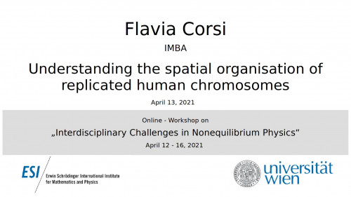 Preview of Understanding the spatial organisation of replicated human chromosomes