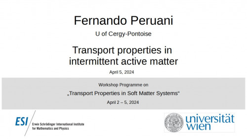 Preview of Fernando Peruani - Transport properties in intermittent active matter