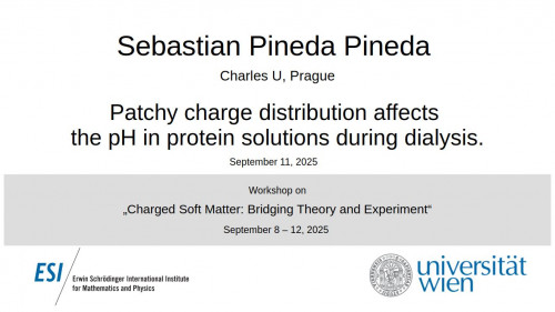 Preview of Sebastian Pineda Pineda - Patchy charge distribution affects the pH in protein solutions during dialysis.