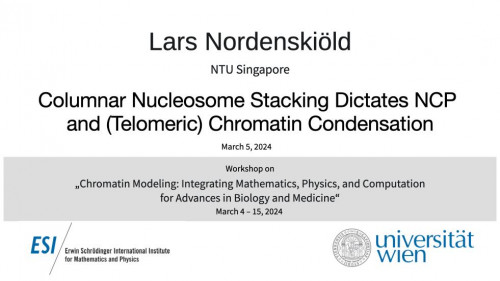 Preview of Lars Nordenskiöld - Columnar Nucleosome Stacking Dictates NCP and (Telomeric) Chromatin Condensation