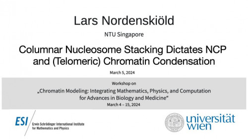 Preview of Lars Nordenskiöld - Columnar Nucleosome Stacking Dictates NCP and (Telomeric) Chromatin Condensation