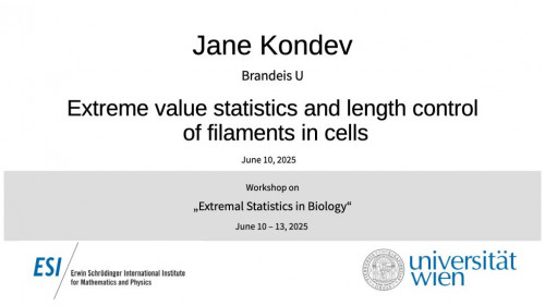 Preview of Jane Kondev - Extreme value statistics and length control of filaments in cells