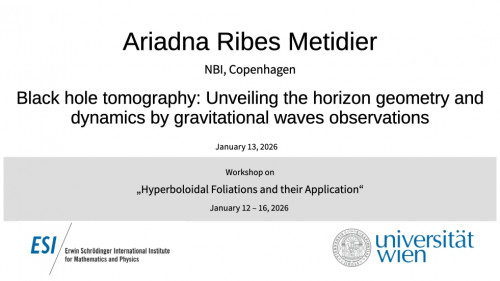 Preview of Ariadna Ribes Metidier - Black hole tomography: Unveiling the horizon geometry and dynamics by gravitational waves observations